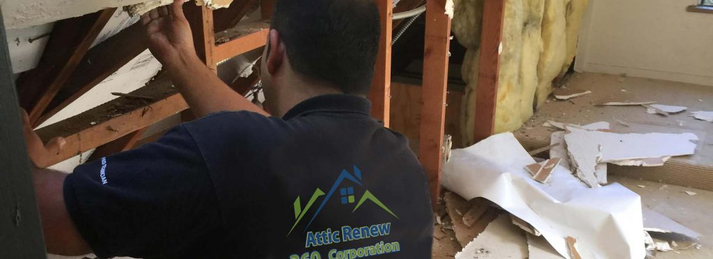 attic insulation project in bay area