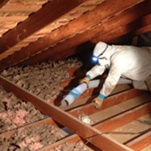 Attic cleaning crawl space