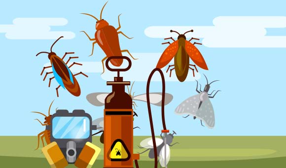 pest control services in bay area