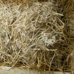 straw insultion