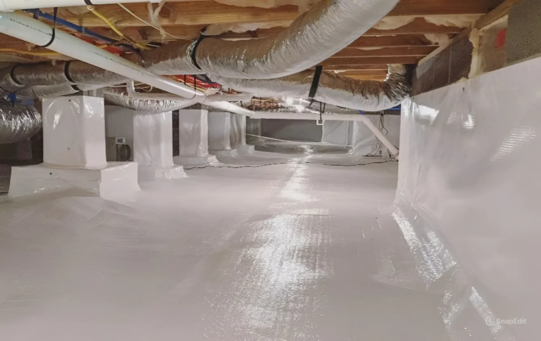 How a Dirty Crawl Space Can Harm Your Home and Health