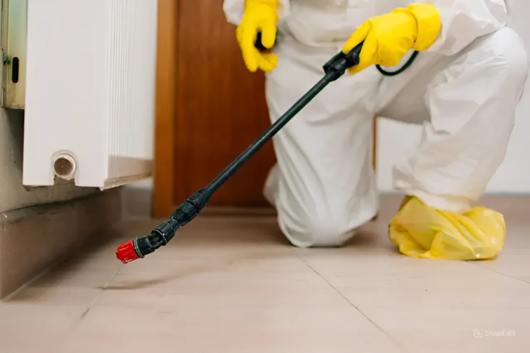 How Pest Control Protects Your Home and Health